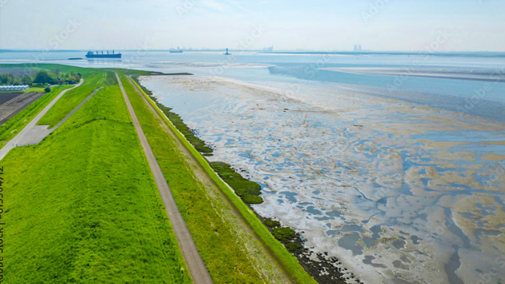 Coastal levee and tidal flats